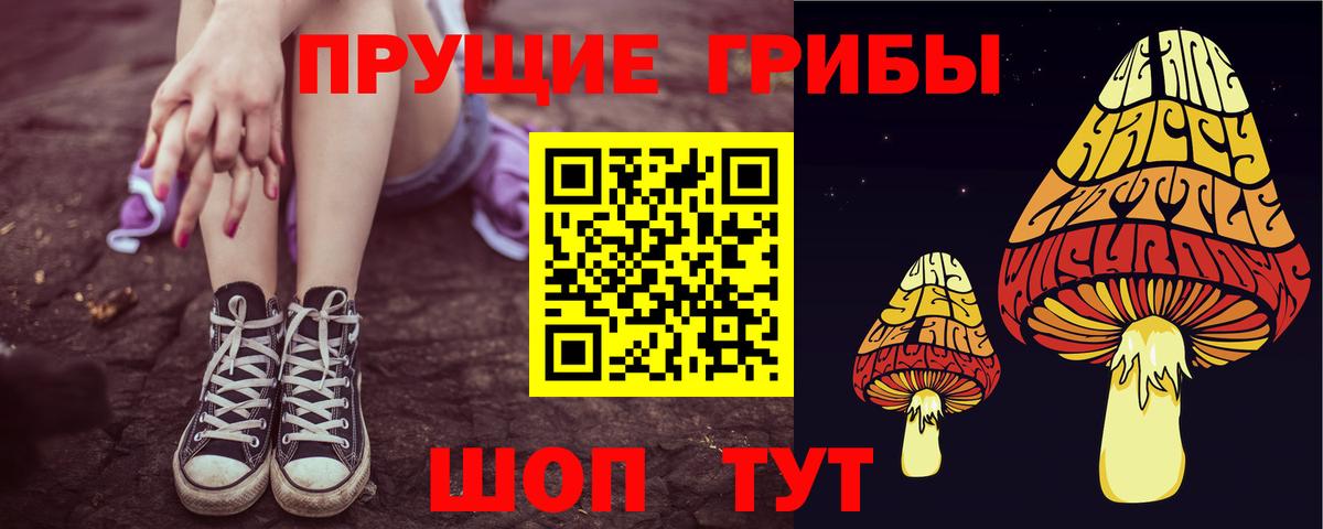 Псилоцибиновые грибы прущие грибы  Вход с VPN  магазин  наркотиков  Симферополь 
